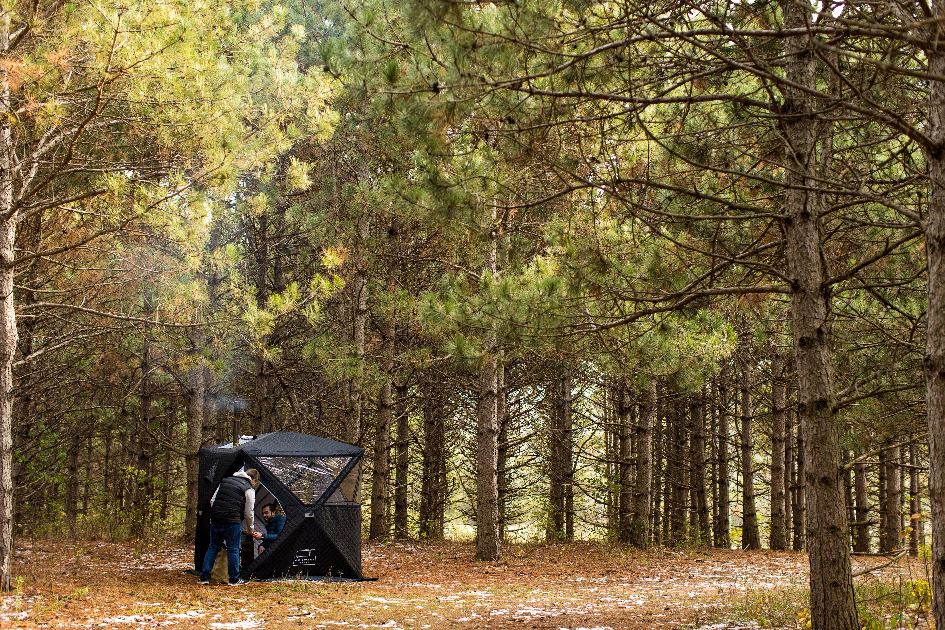 Sauna Tent Effective Use in pine trees, reviewing how well oak works
